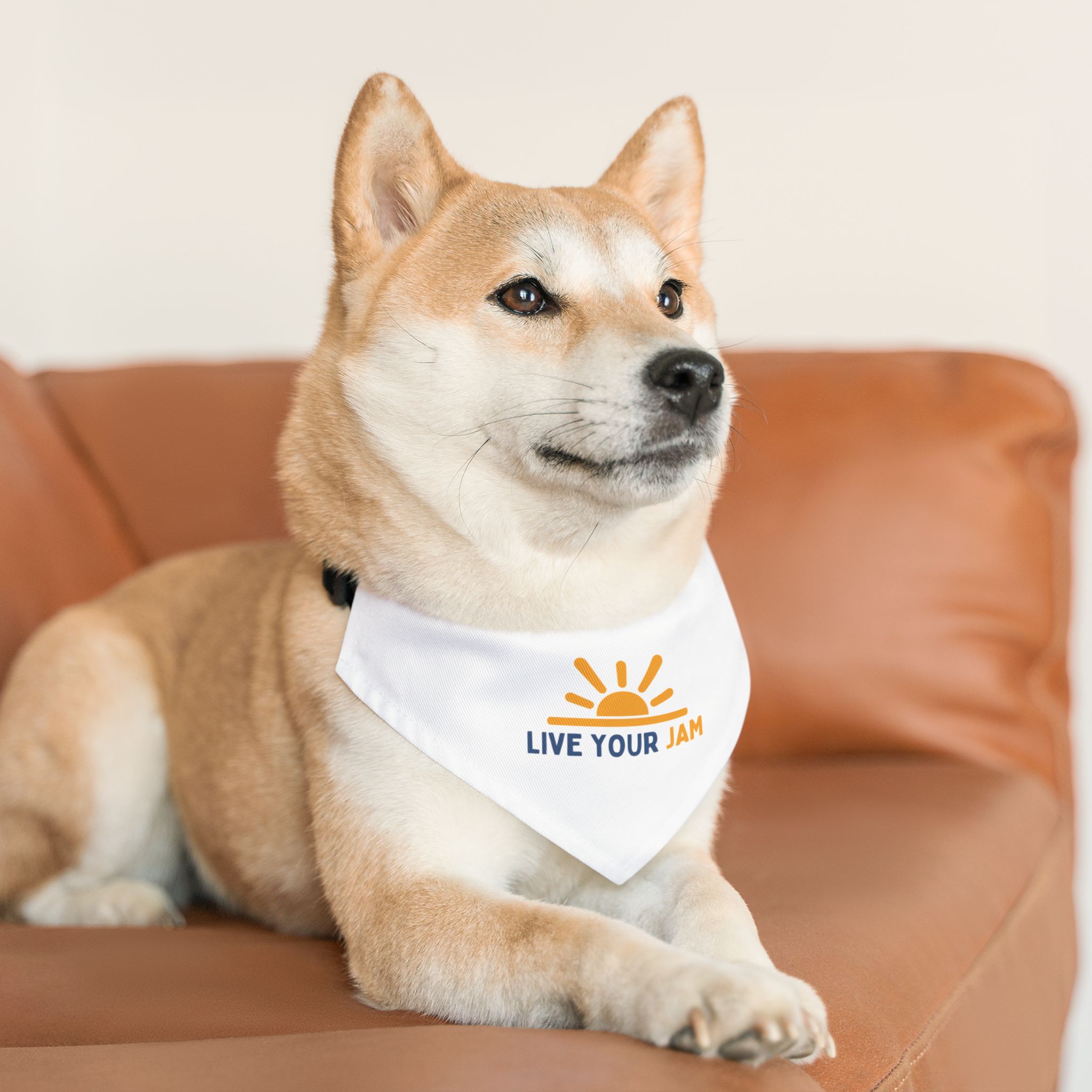 Pet Bandana Collar - "Live Your Jam" - Image 5