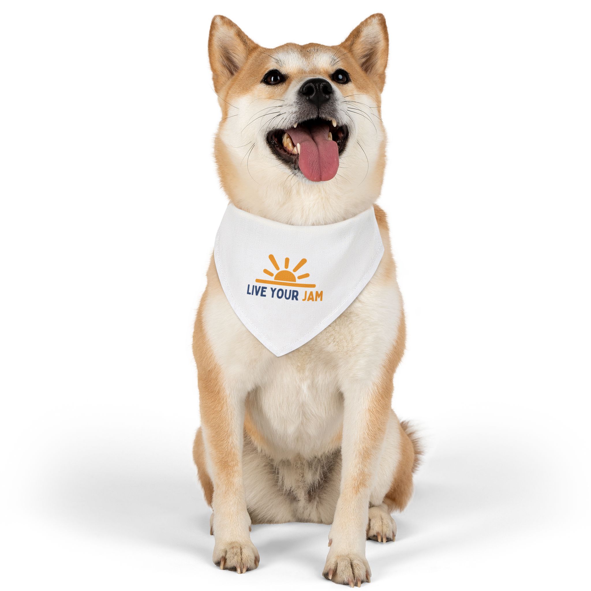 Pet Bandana Collar - "Live Your Jam" - Image 4