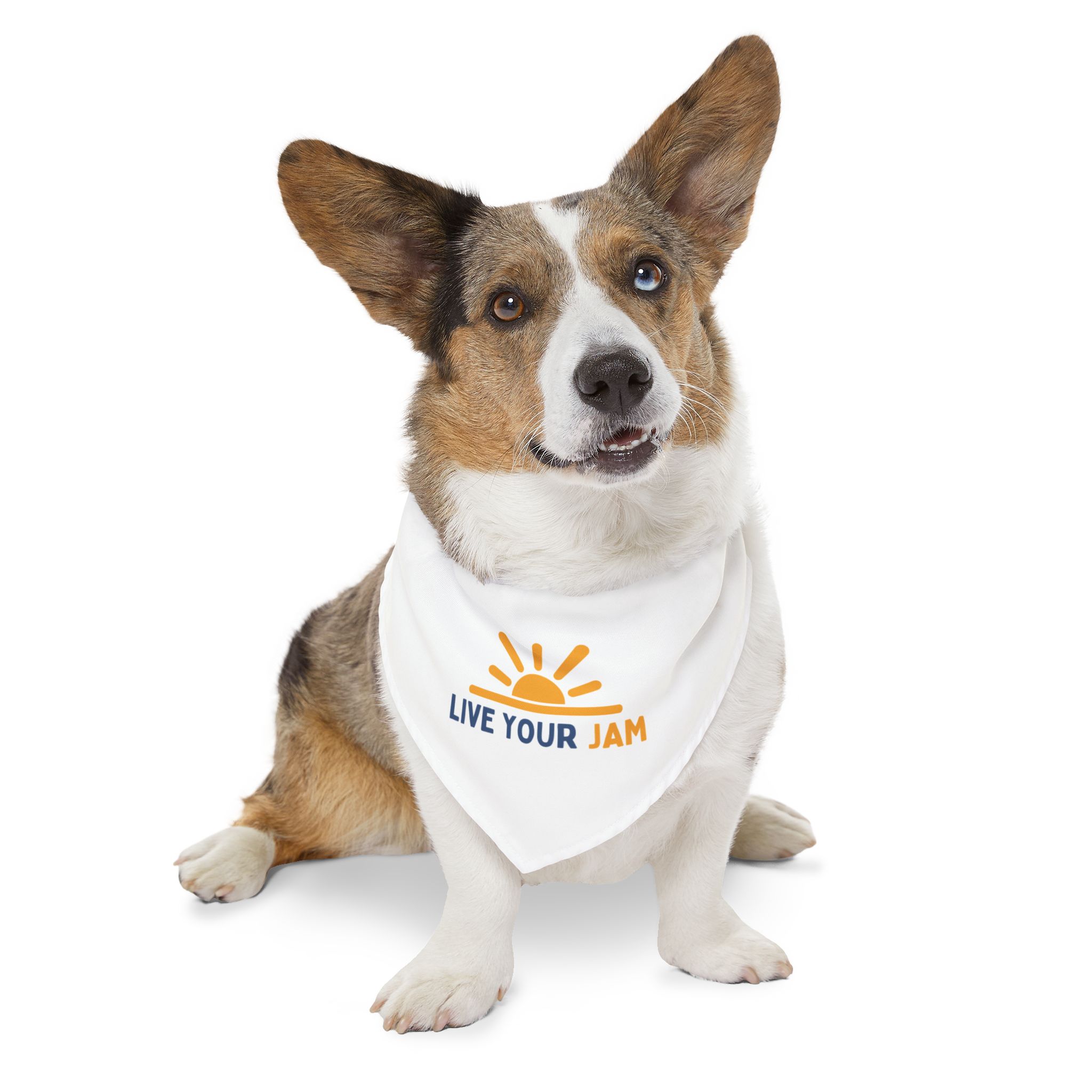 Pet Bandana Collar - "Live Your Jam" - Image 7